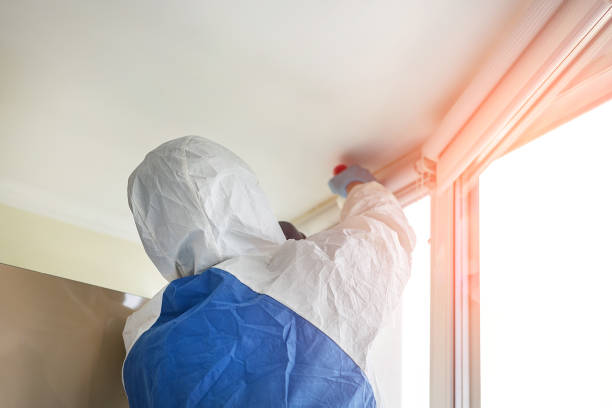 Why You Should Choose Our Mold Remediation Services in Fairmount, NY