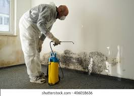 Best Industrial Mold Remediation in Fairmount, NY